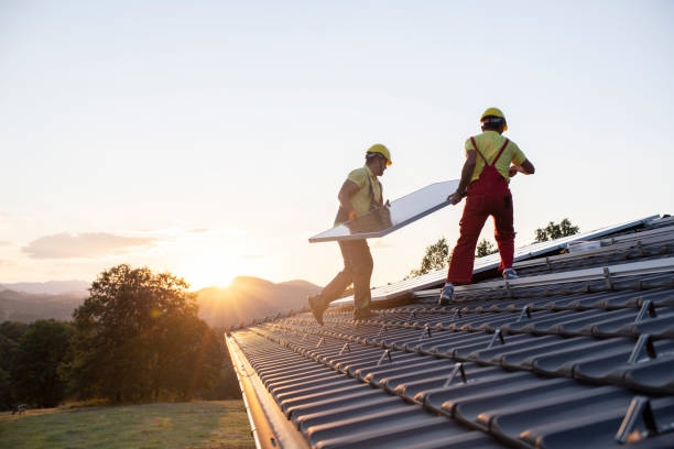 Best Skylight Installation and Repair  in Blue Ridge, GA