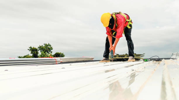 Best Cold Roofs  in Blue Ridge, GA